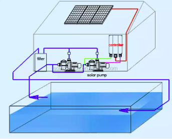 solar power pool pump installation